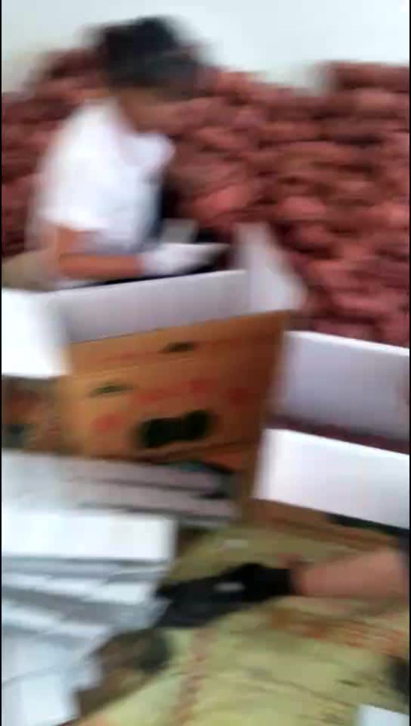 酥梨