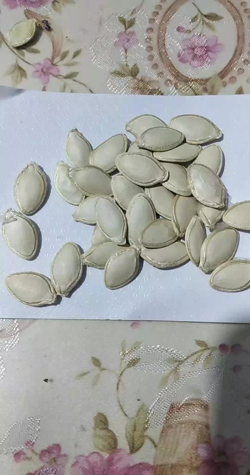西葫子