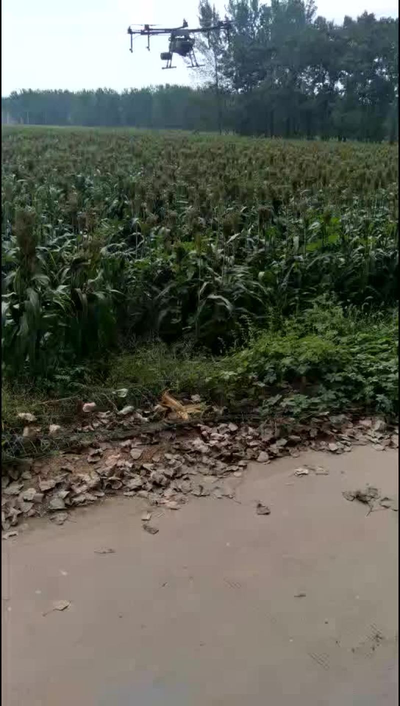 土地出租一年也租
