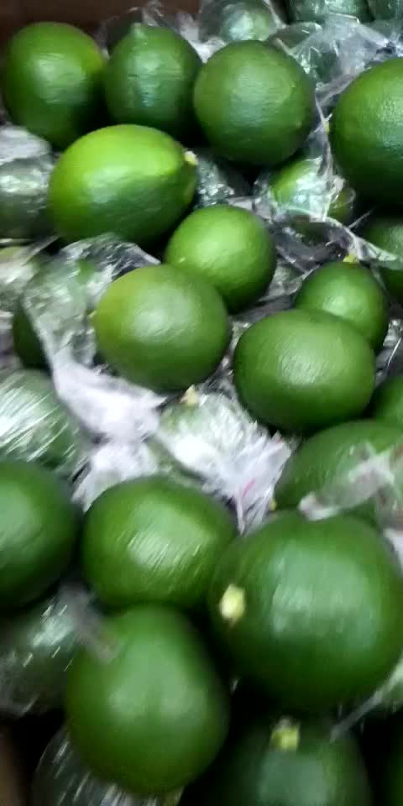 万州青柠檬，一件代发