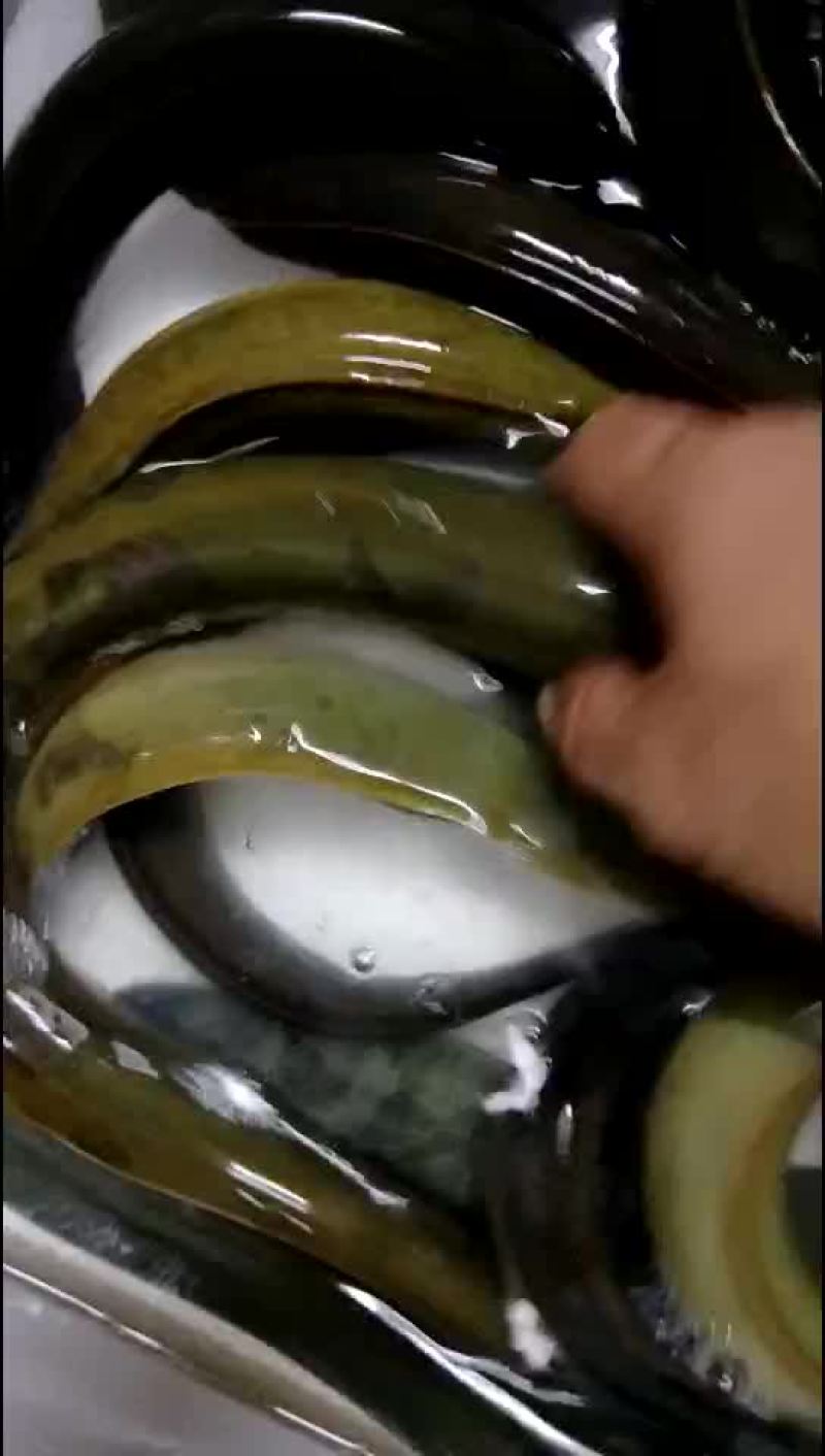 蟒头鰻