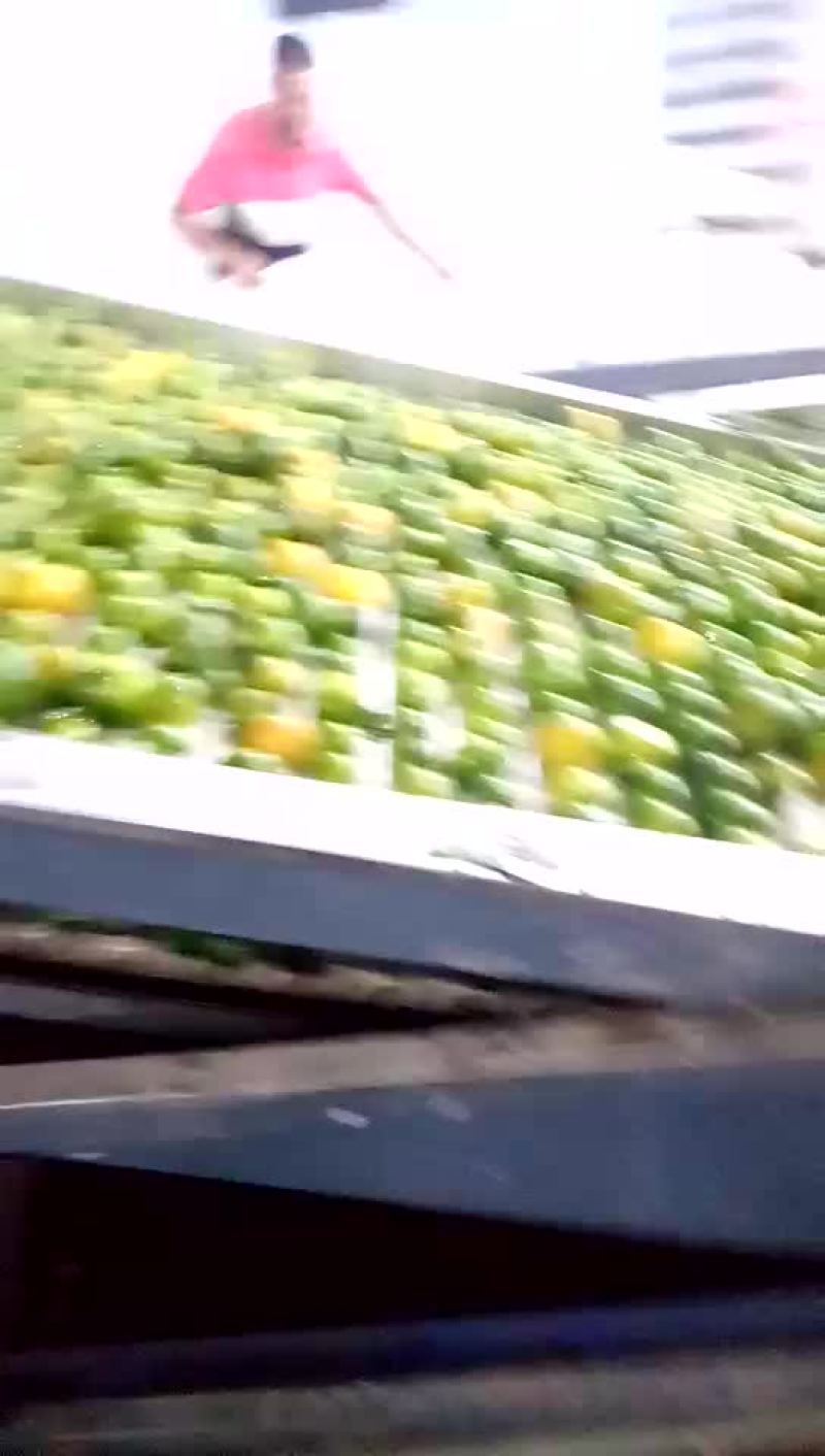 佛山橘海