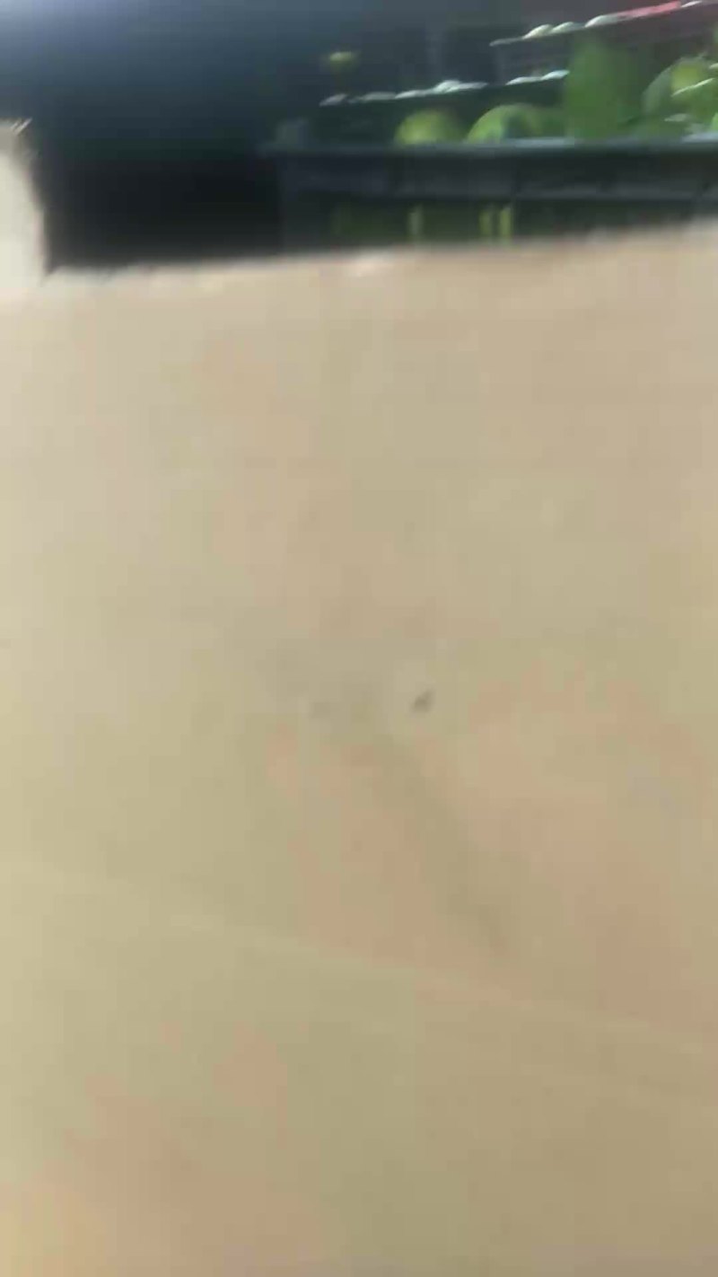 大丰蜜橘
