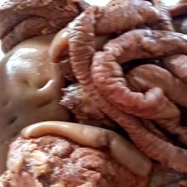 肉驴
