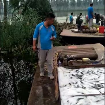 专供钓场20年