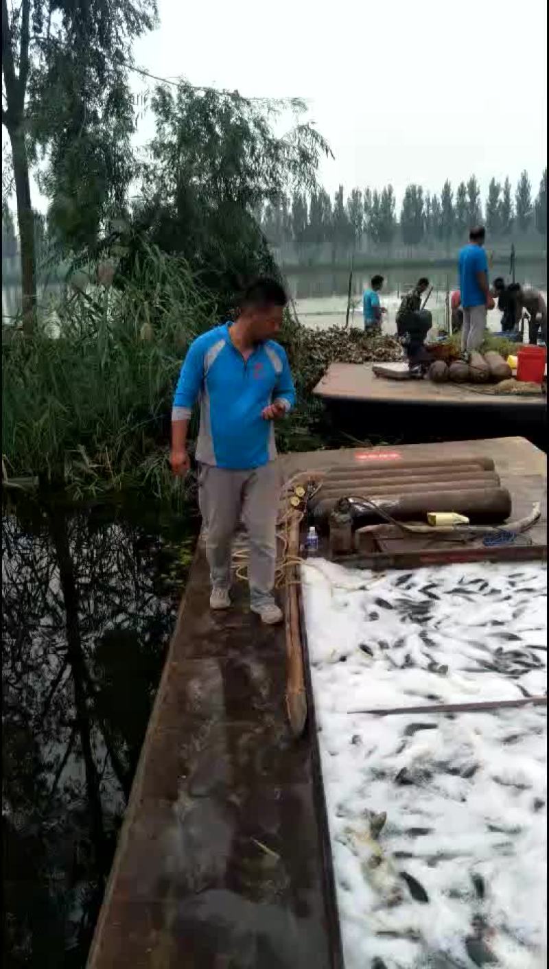 专供钓场20年