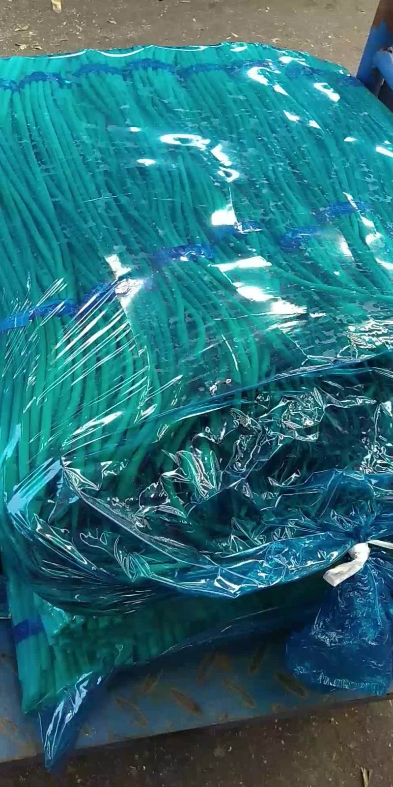 精品蒜苔