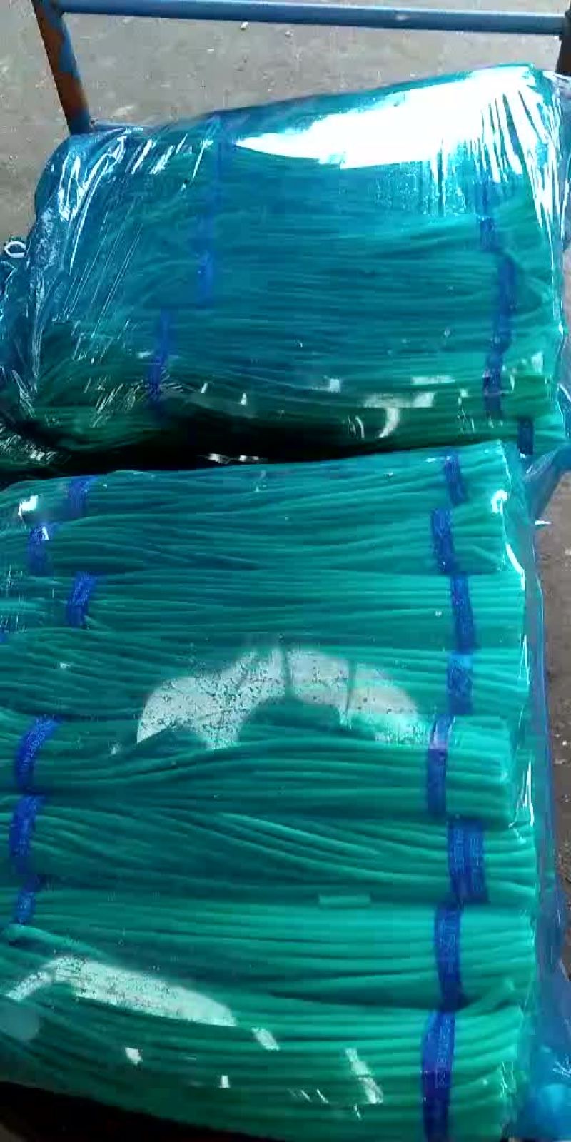 精品蒜苔