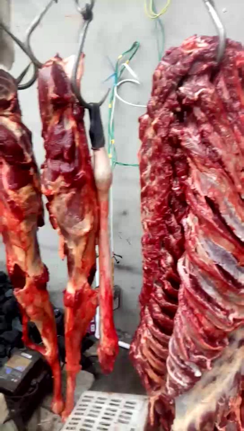 驴肉