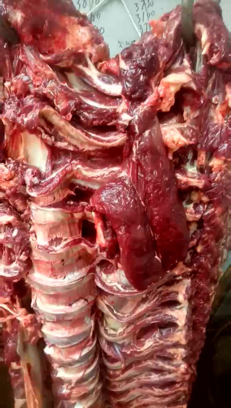 驴肉