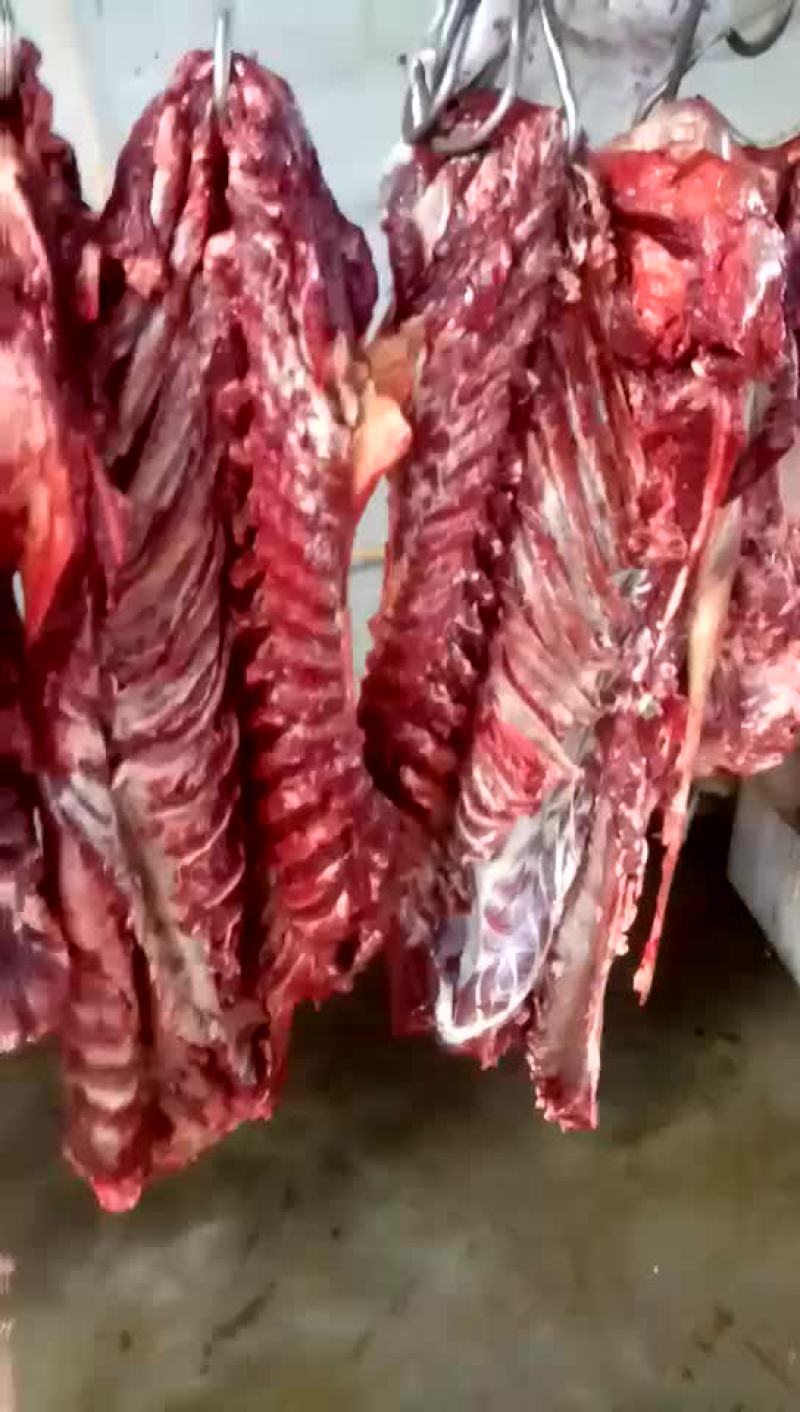 驴肉