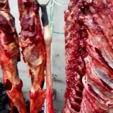 驴肉