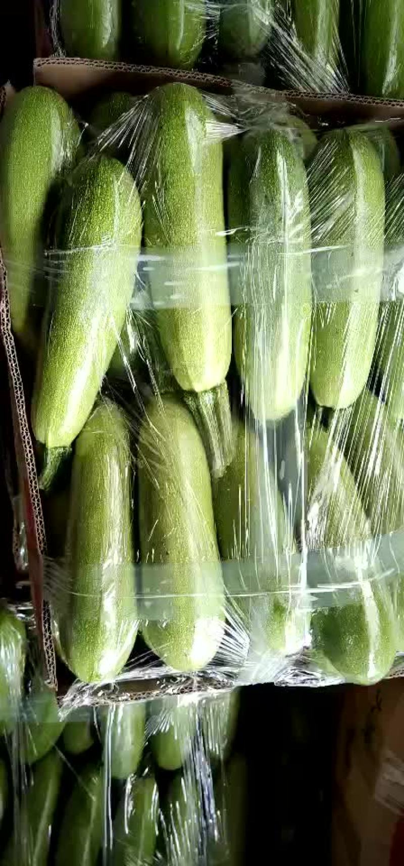 西葫芦