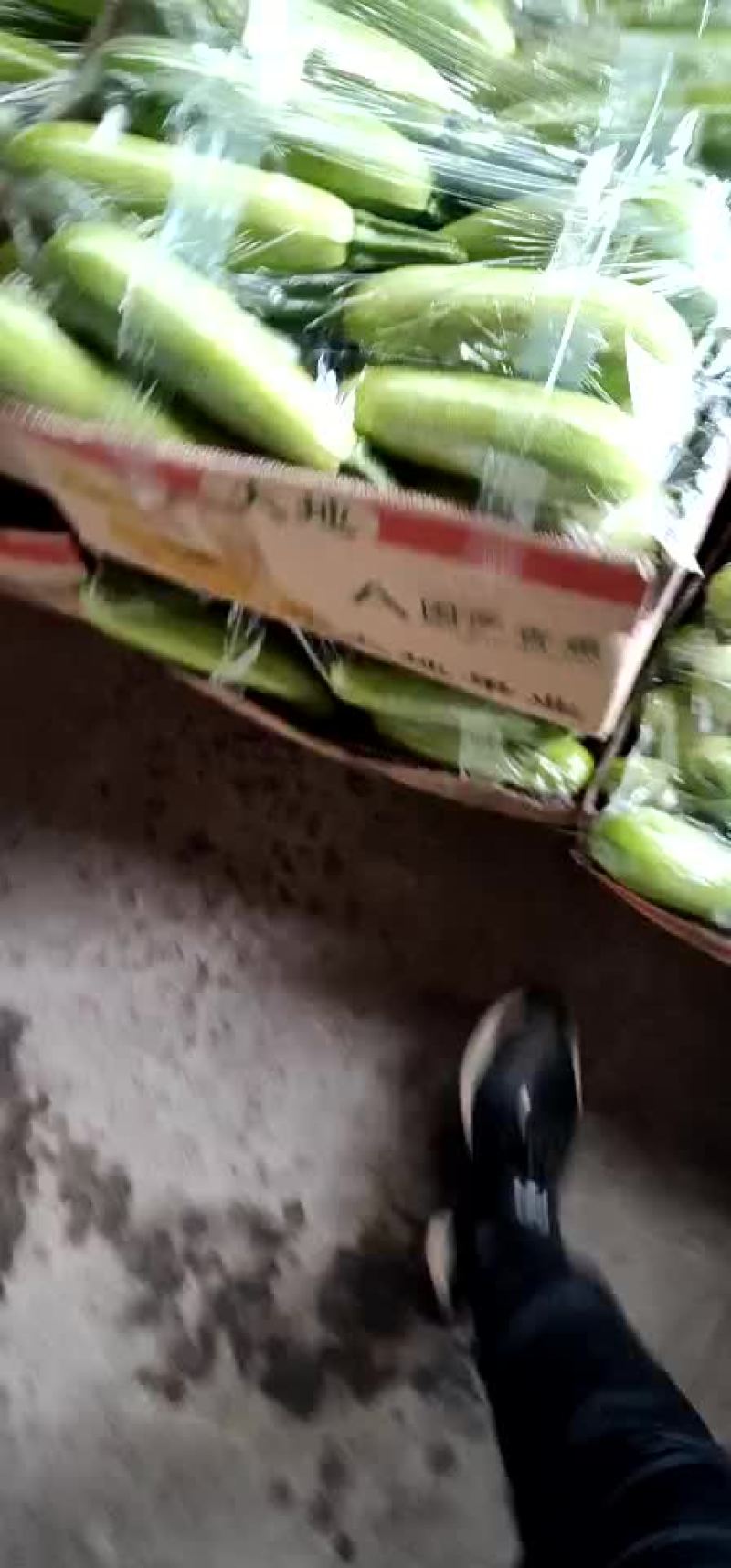 西葫芦
