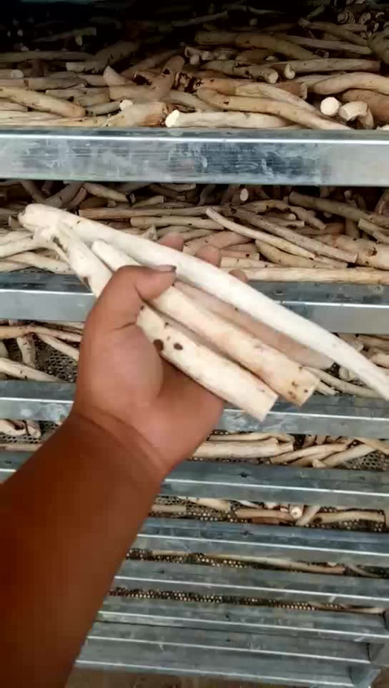 白芍
