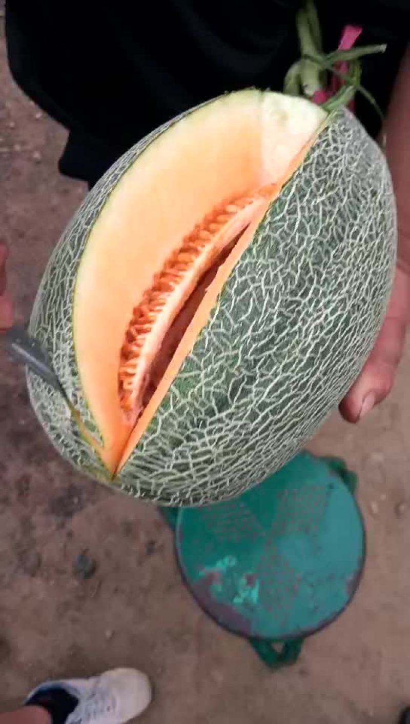 西州蜜
