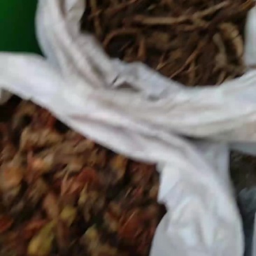 胡黄连，产地直销，符合药典合量，量大价优