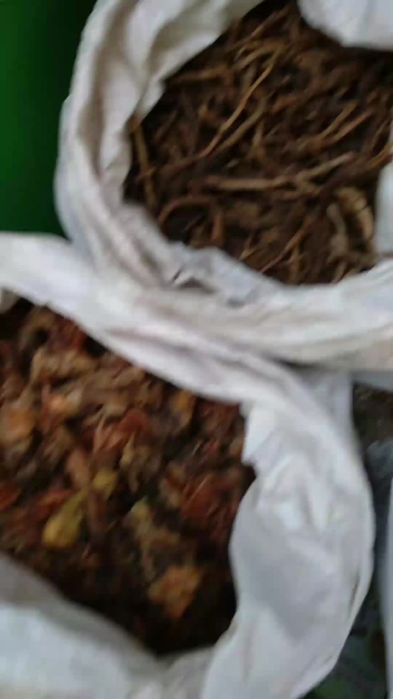 胡黄连，产地直销，符合药典合量，量大价优