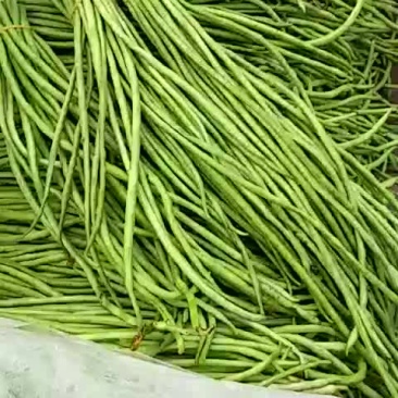 江豆角，长豆角