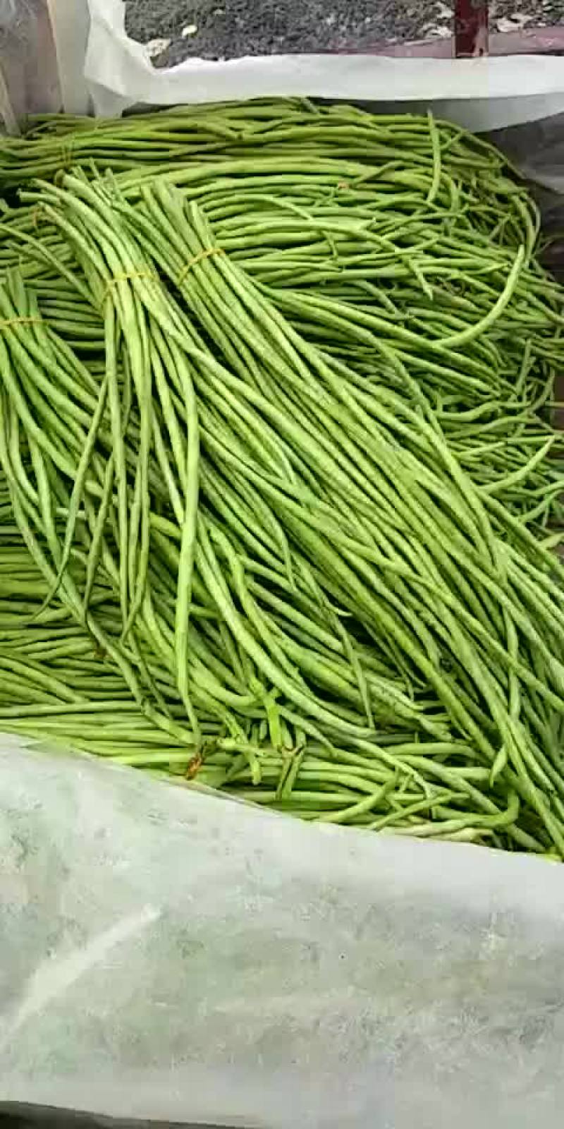 江豆角，长豆角