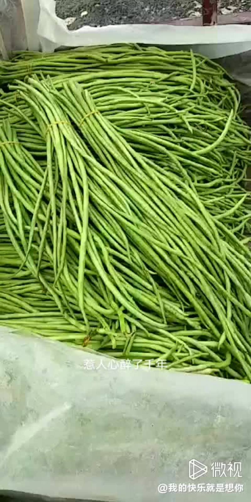 江豆角，长豆角