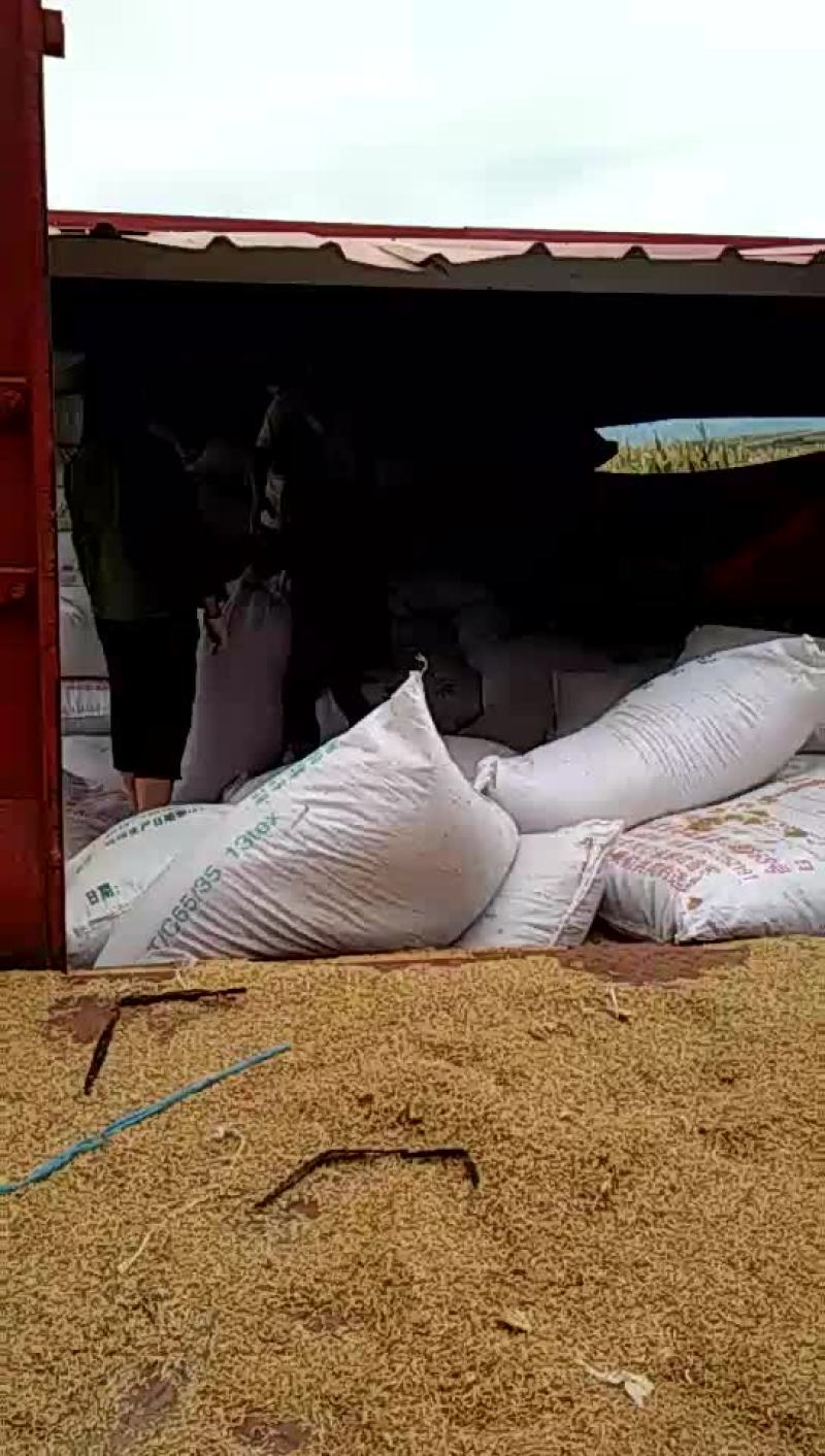 常年供应稻壳，有需要的联系