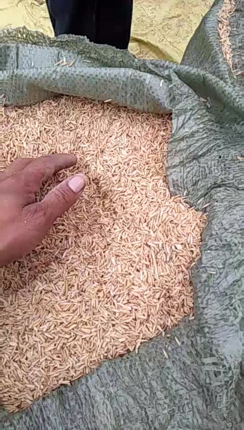 常年供应稻壳，有需要的联系