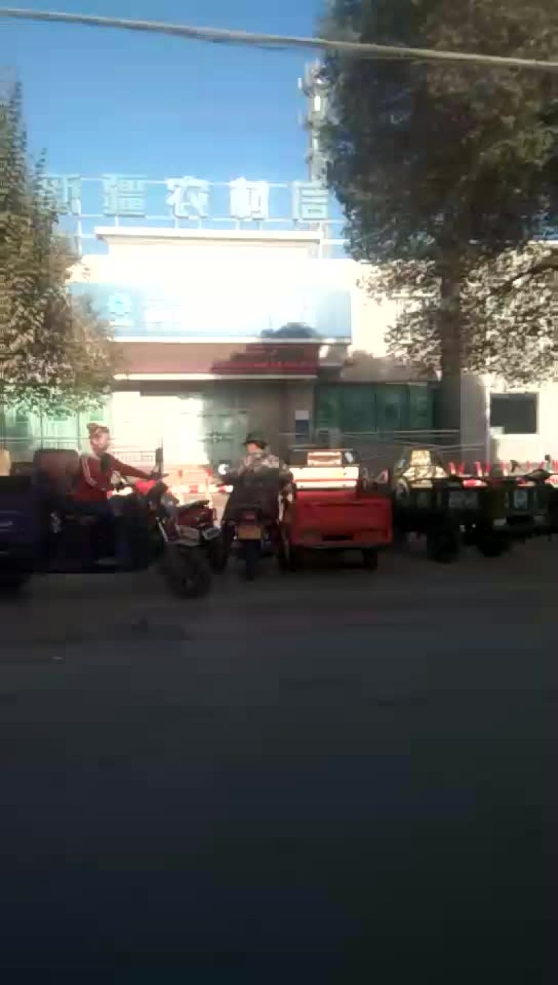 核桃