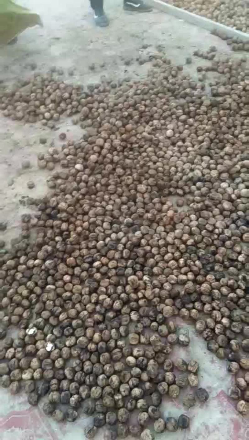 核桃