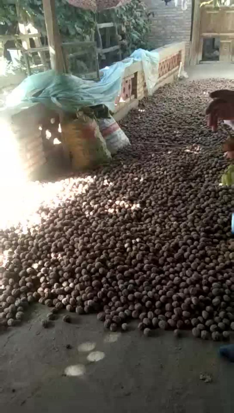核桃