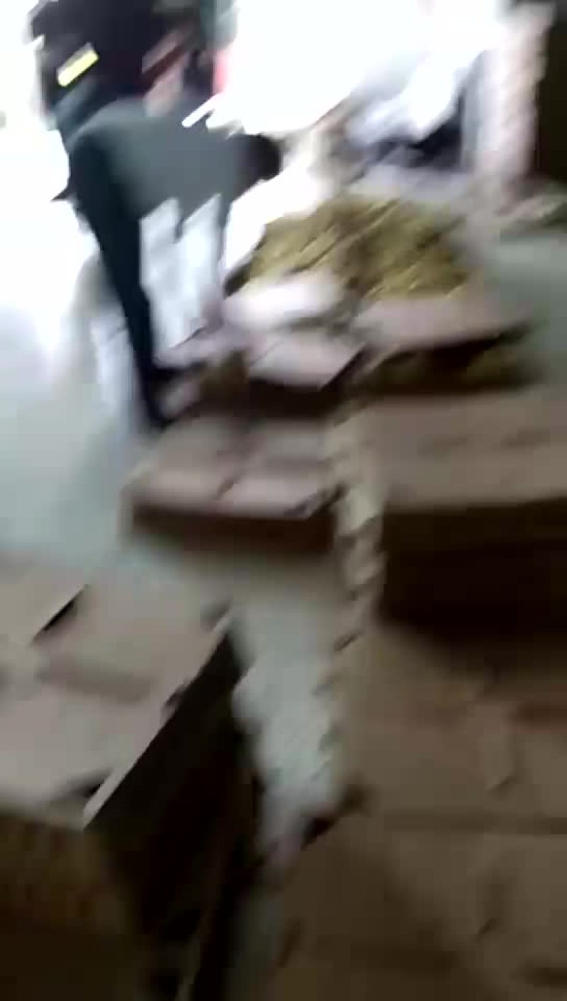 销售各种鹅苗