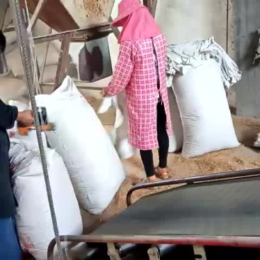 厂家直销稻壳，包装，散装