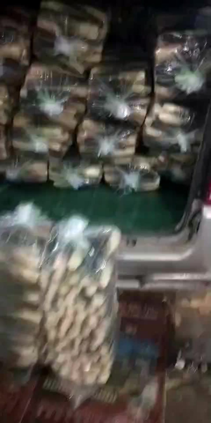 双季茭白