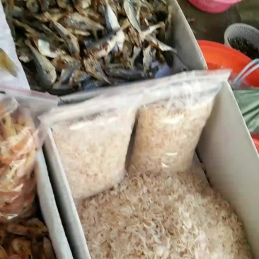 海鲜干货