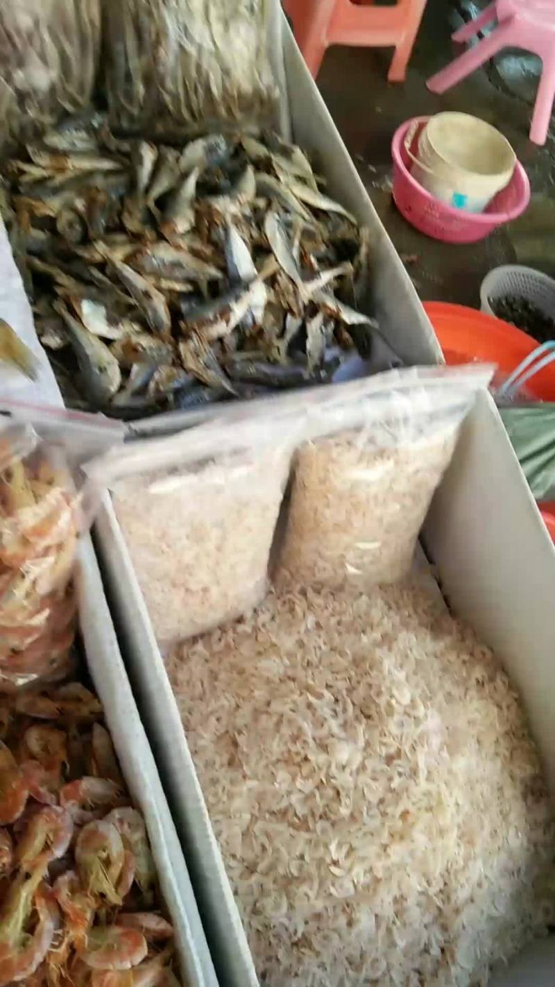 海鲜干货