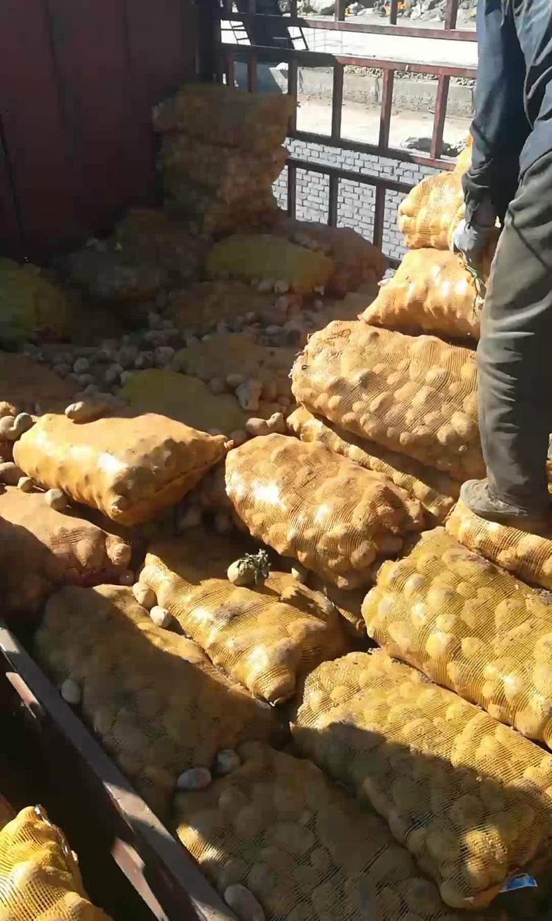小土豆