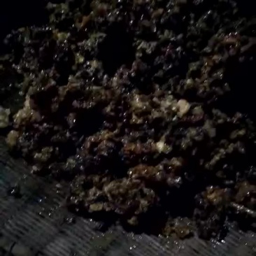 正宗蜂蜜