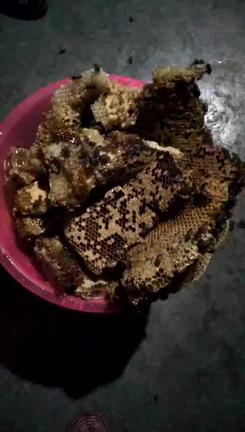 正宗蜂蜜