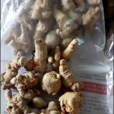 三七