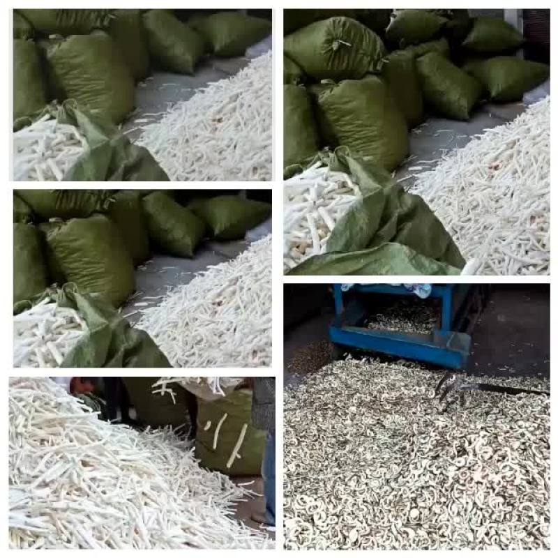 大货通草