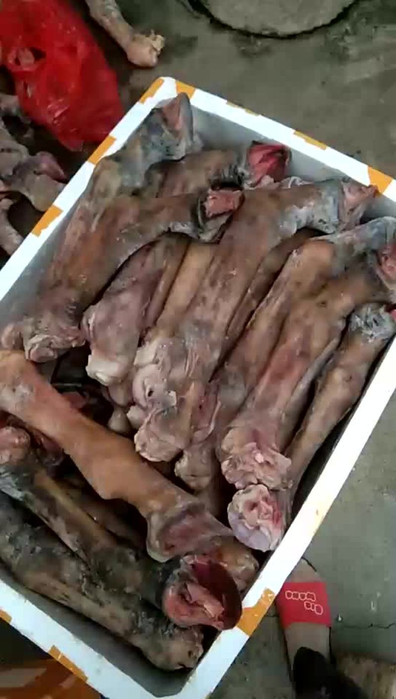 驴肉