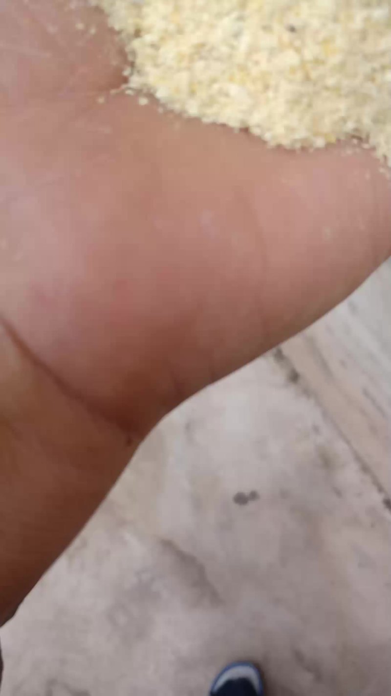 玉米次粉