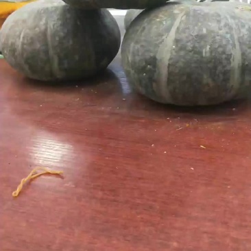 板栗南瓜
