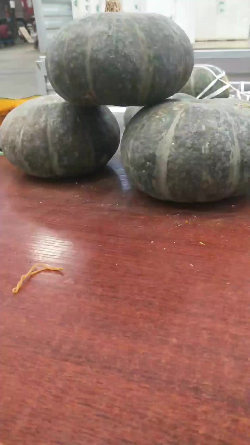 板栗南瓜