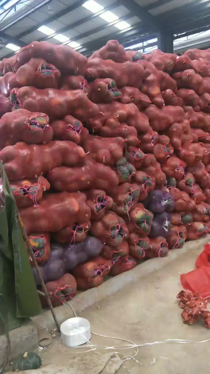 板栗南瓜