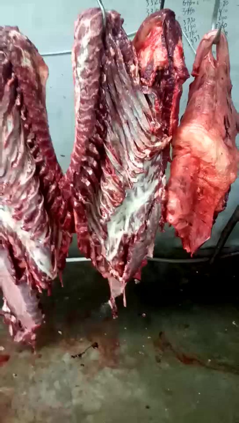 驴肉