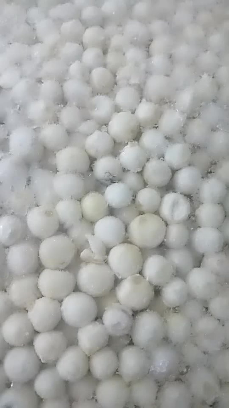 大，小芡实米