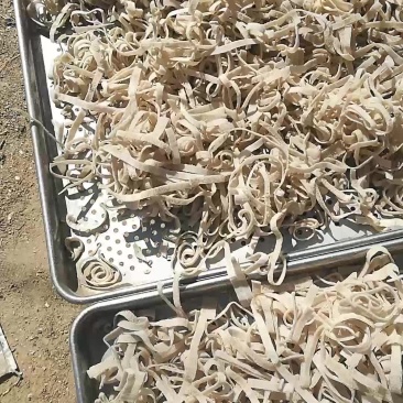 √天门天众豆丝黄豆绿豆丝大量供货