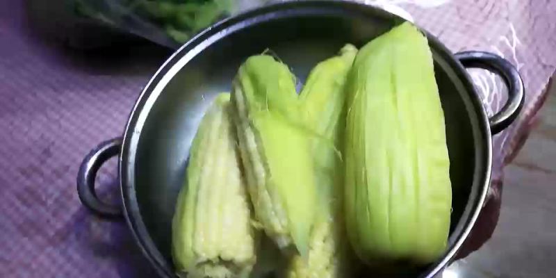 玉米。东北晚苞米笨苞米特别好吃。