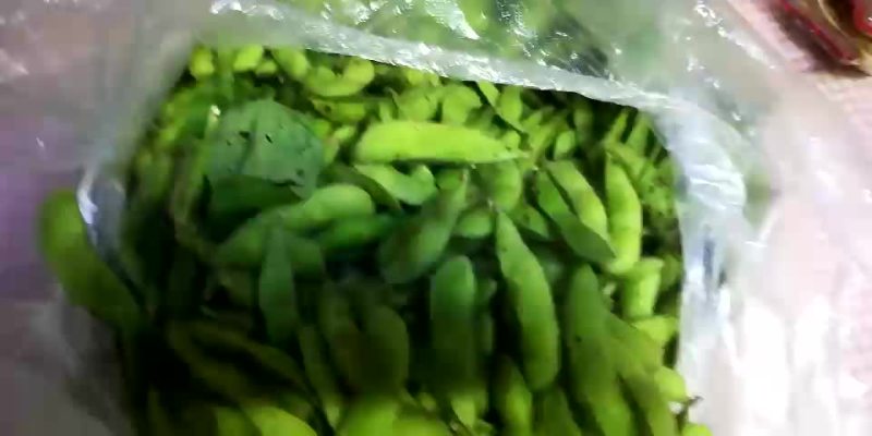 玉米。东北晚苞米笨苞米特别好吃。